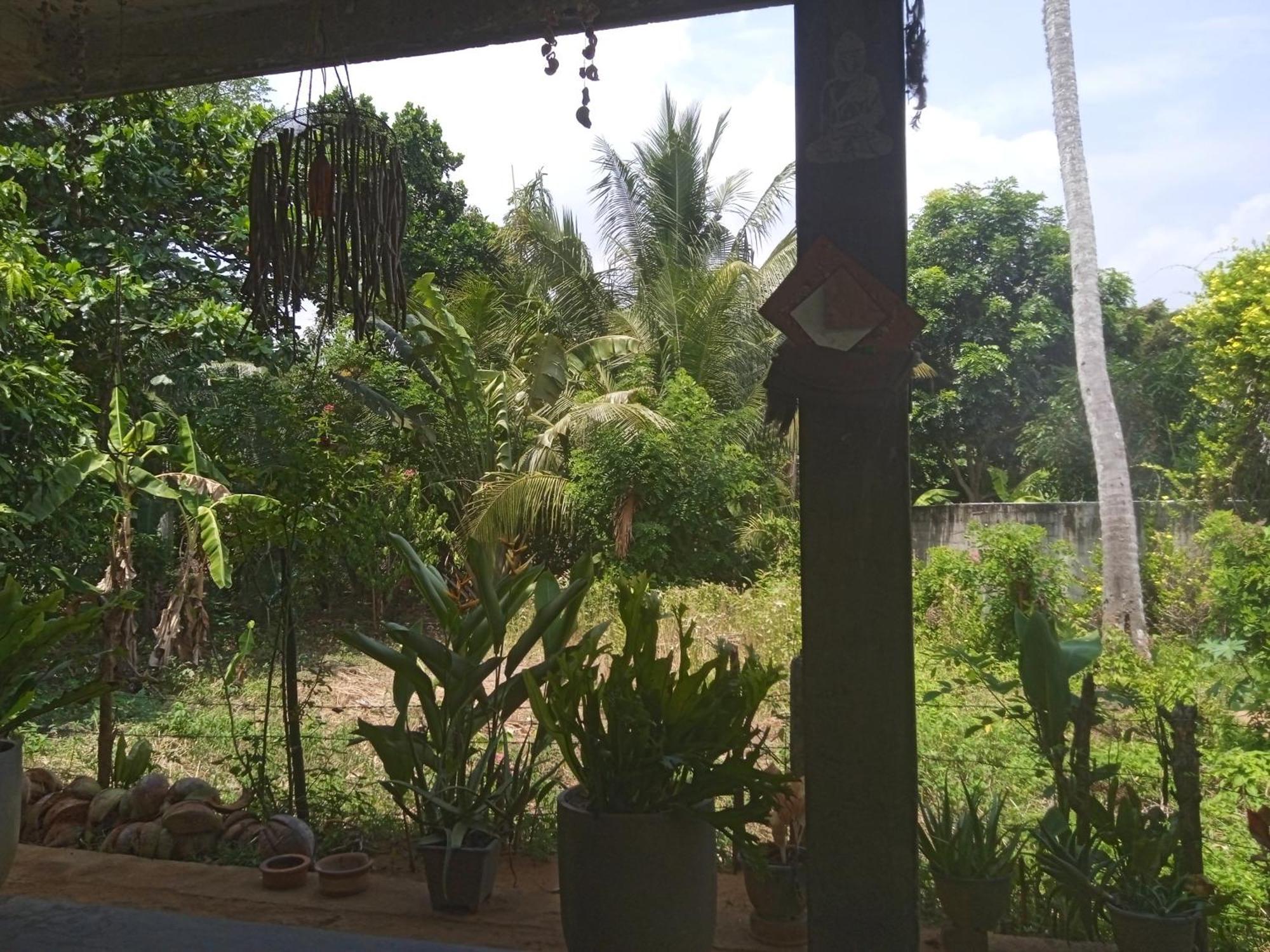 Julianu Hotel Tangalle Kültér fotó