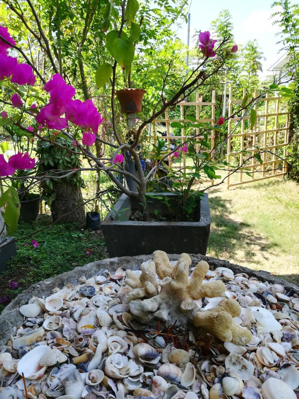Julianu Hotel Tangalle Kültér fotó