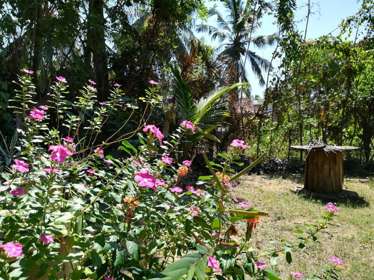 Julianu Hotel Tangalle Kültér fotó