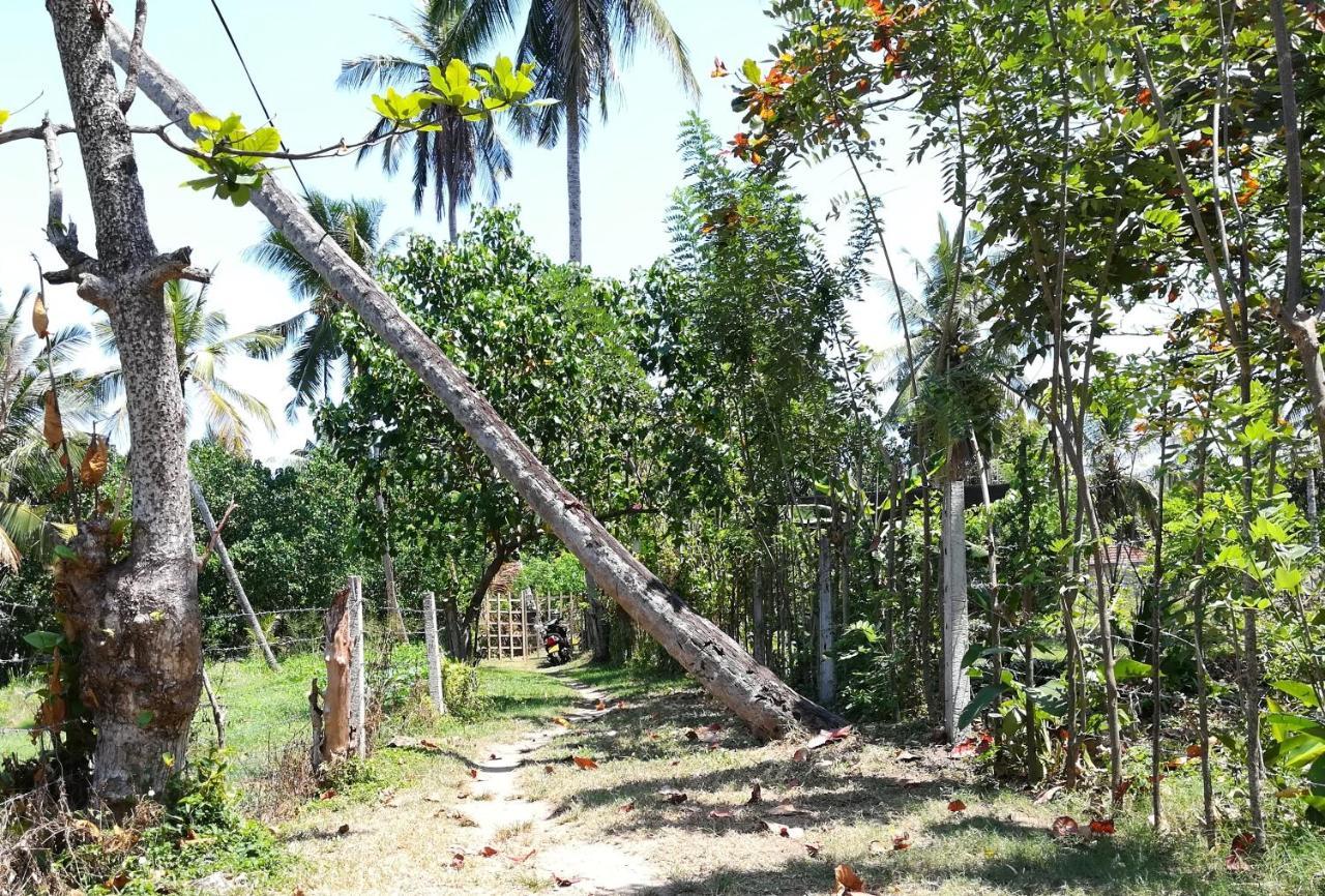 Julianu Hotel Tangalle Kültér fotó